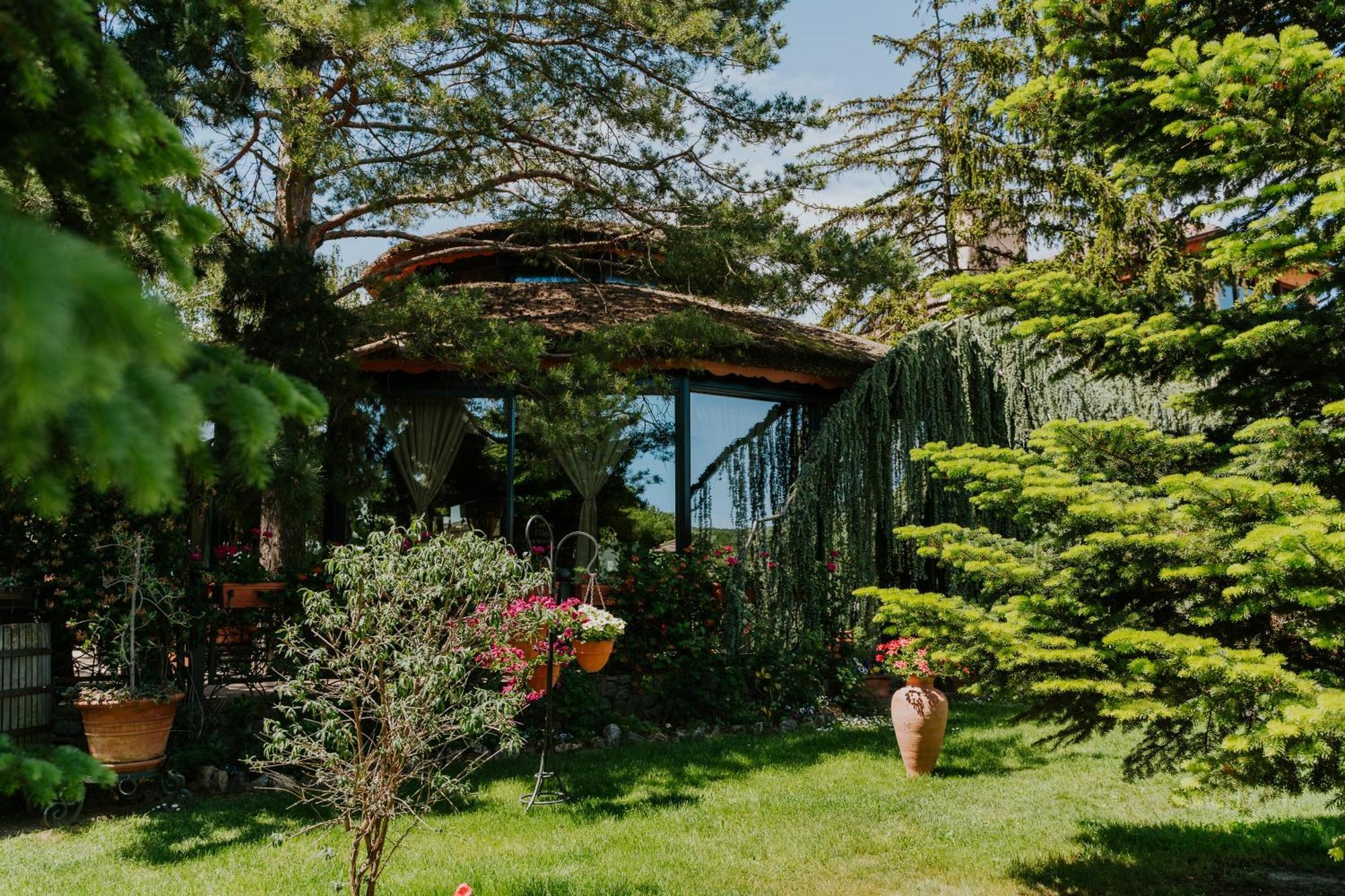 Bed and Breakfast Vinska Kuca Kovacevic Irig Exteriér fotografie